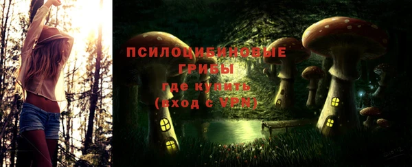 MESCALINE Аркадак