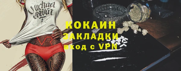 шишки Армянск