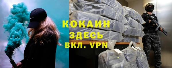 шишки Армянск
